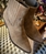 Botines cowboy LOLSHOES  serraje TAUPE. - Imagen 1